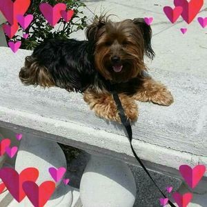 Meet your Posher, Tina